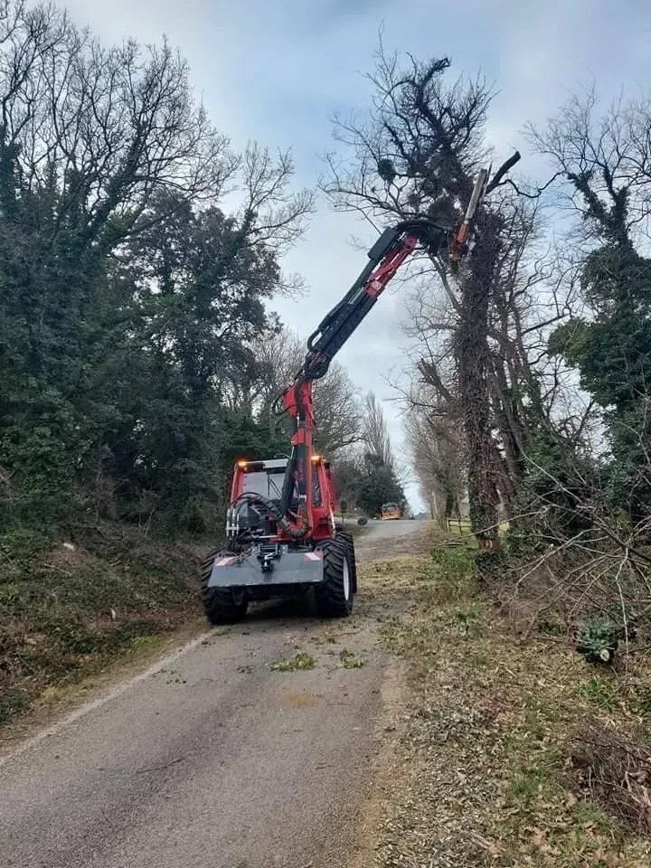 Entreprise d'élagage mécanique à Le Versoud