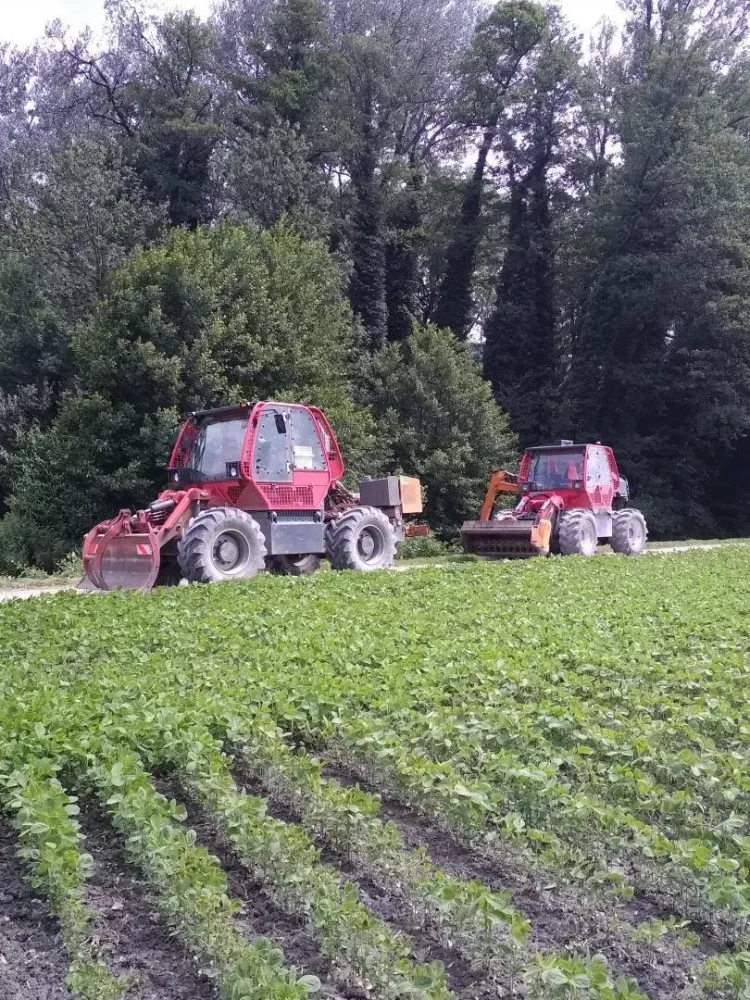 Agriculture