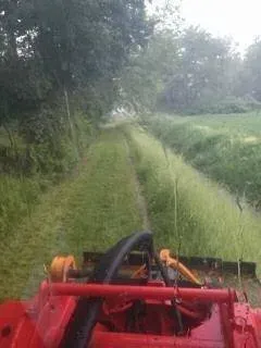 Fossé route