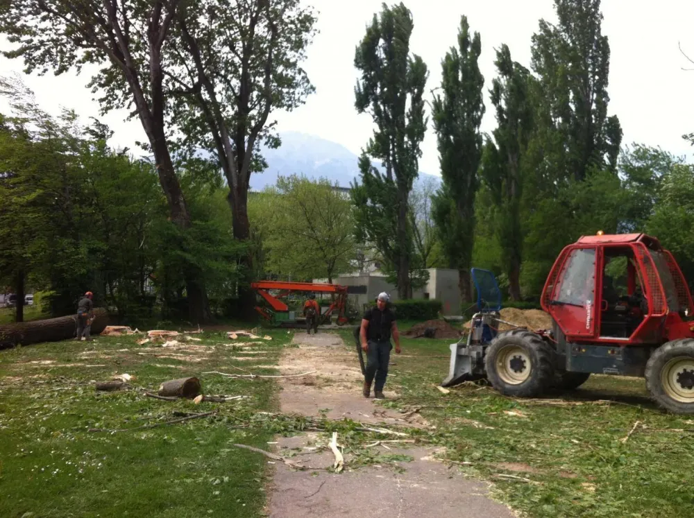 Élagage sécurisé et rapide à Le Versoud